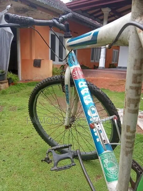 Bicycle