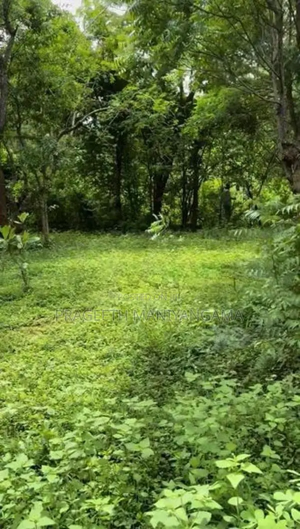 පිරිසිදු සින්නක්කර ඔප්පු සහිත කතරගම ඉඩම