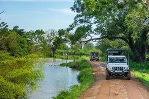 පිරිසිදු සින්නක්කර ඔප්පු සහිත කතරගම ඉඩම