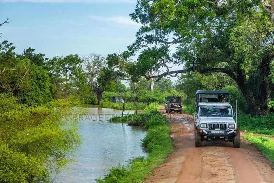 පිරිසිදු සින්නක්කර ඔප්පු සහිත කතරගම ඉඩම
