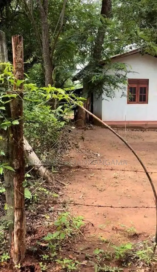 පිරිසිදු සින්නක්කර ඔප්පු සහිත කතරගම ඉඩම