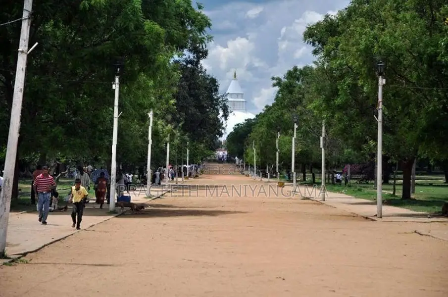 පිරිසිදු සින්නක්කර ඔප්පු සහිත කතරගම ඉඩම