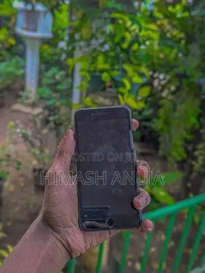 Apple iPhone 7 Plus (Used)