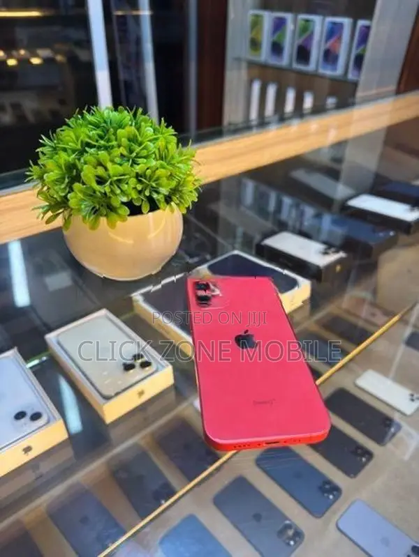 Apple iPhone 12 mini 128GB (Used)