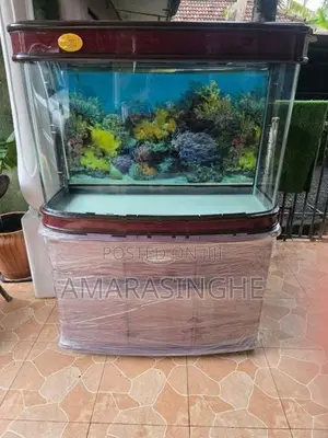 Fish Tank