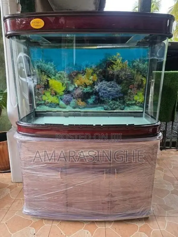 Fish Tank