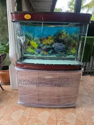Fish Tank
