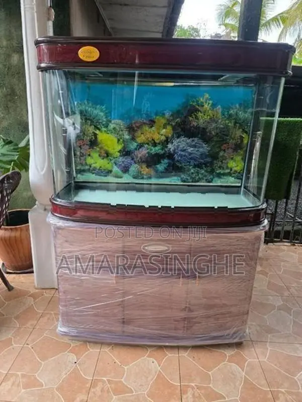 Fish Tank