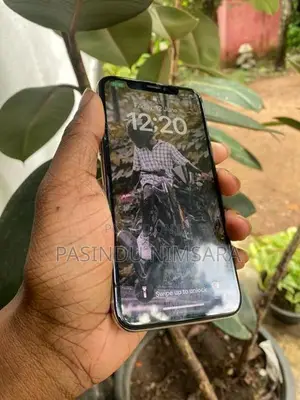 Apple iPhone 11 (Used)