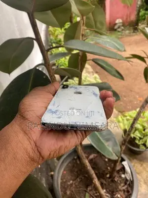 Apple iPhone 11 (Used)