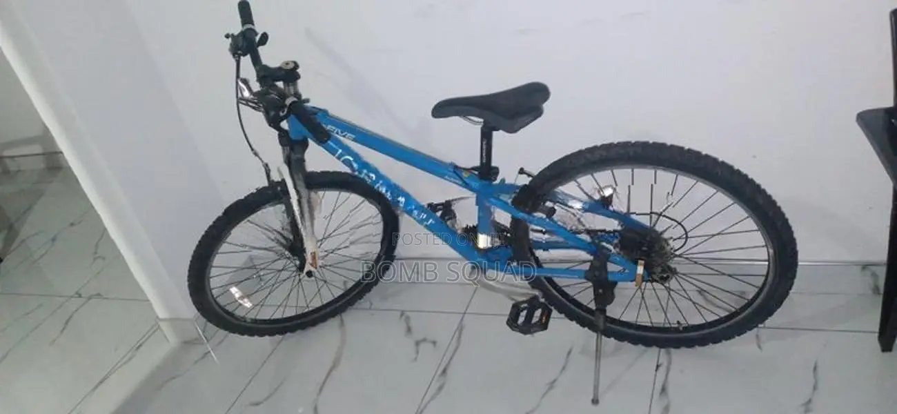 Mountain Bike 26 inch