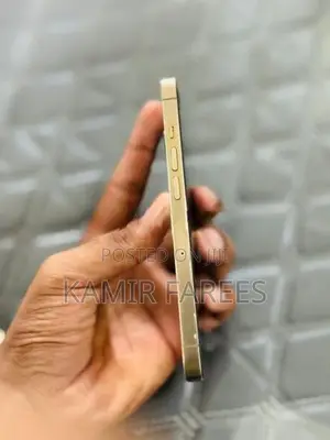 Apple iPhone 13 Pro 256GB (Used)