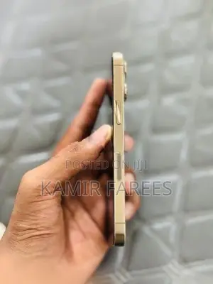 Apple iPhone 13 Pro 256GB (Used)