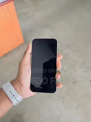Apple iPhone 12 (Used)