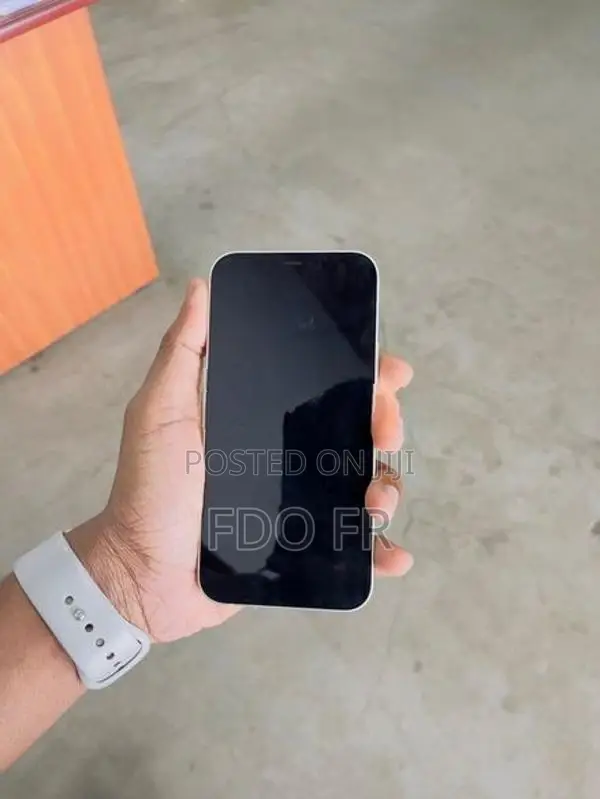 Apple iPhone 12 (Used)