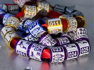 8MM ගැඹුරු කැටයම් කළ කුරුළු රිං (50pcs)