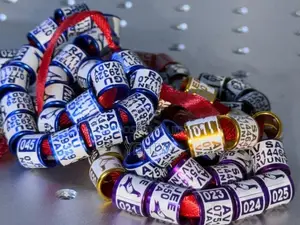 8MM ගැඹුරු කැටයම් කළ කුරුළු රිං (50pcs)