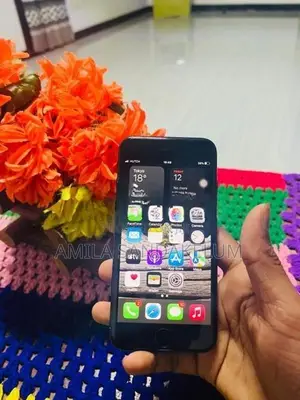 Apple iPhone 7 (Used)