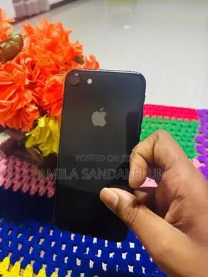 Apple iPhone 7 (Used)