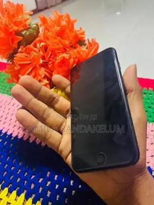 Apple iPhone 7 (Used)