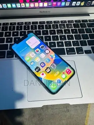 Apple iPhone X 256GB (Used)