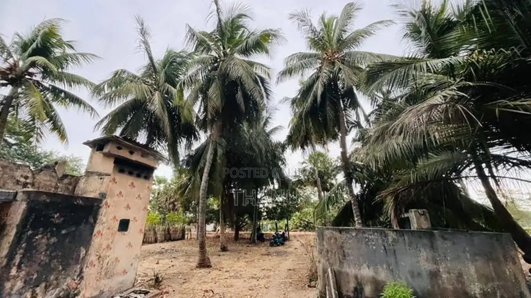 38 Perch Land for Sale Alavakkai