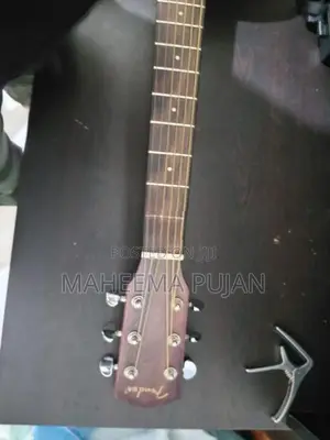 Fender Acoustic Guitar