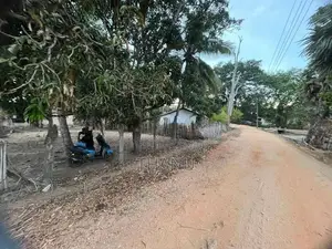 38 Perch Land for Sale Alavakkai