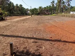 Diulapitiya Ullalapola Land for Sale