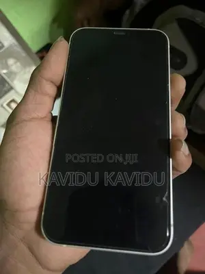 Apple iPhone 12 (Used)