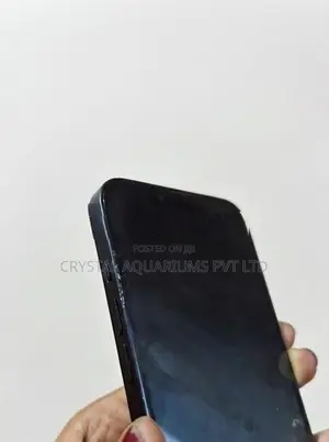Apple iPhone 13 (Used)
