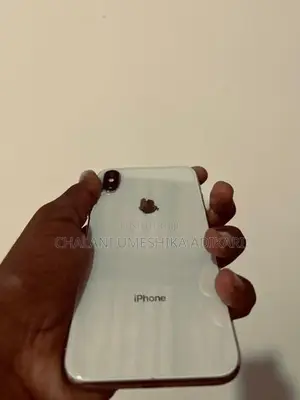 Apple iPhone X (Used)