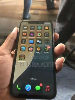 Apple iPhone XS 256GB (Used)
