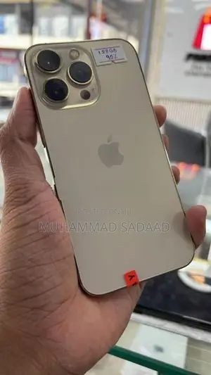 Apple iPhone 13 Pro (Used)