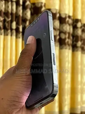 Apple iPhone 13 Pro (Used)