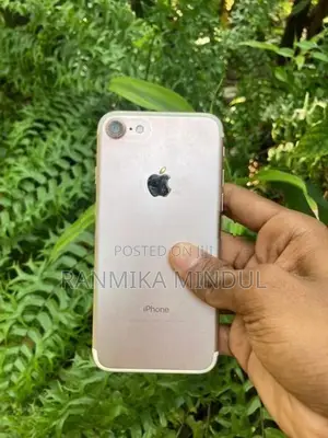Apple iPhone 7 (Used)