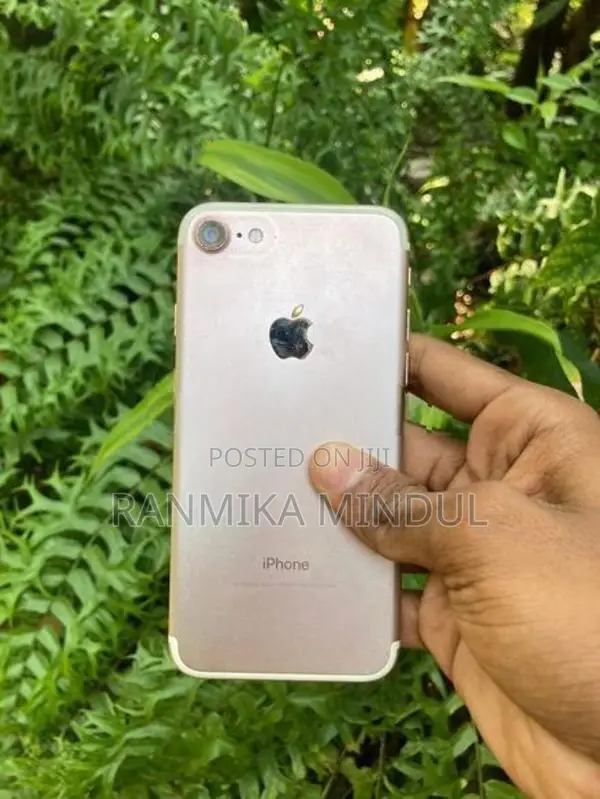 Apple iPhone 7 (Used)