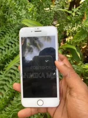 Apple iPhone 7 (Used)