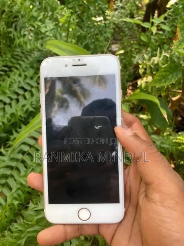Apple iPhone 7 (Used)