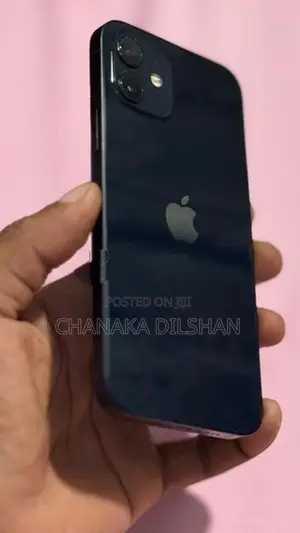 Apple iPhone 12 (Used)