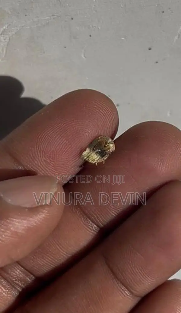 Natural Unheated Yellow Sapphire