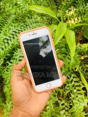 Apple iPhone 7 (Used)