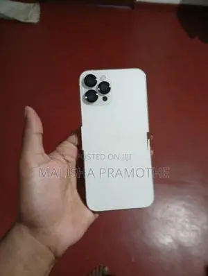 Apple iPhone 12 Pro Max (Used)