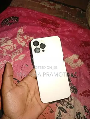 Apple iPhone 12 Pro Max (Used)