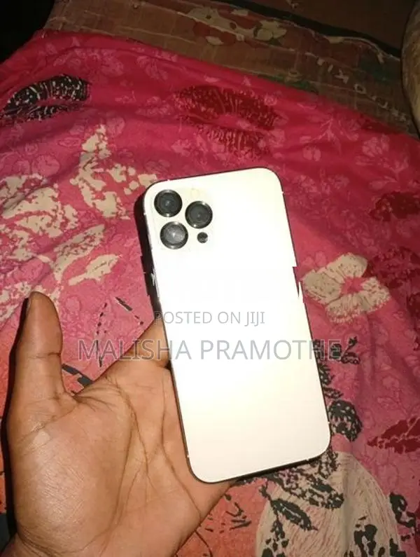 Apple iPhone 12 Pro Max (Used)