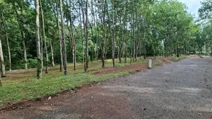 දිවුලපිටිය කුරුණෑගල පහ පාරෙන් වල්පිට Land