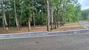 දිවුලපිටිය කුරුණෑගල පහ පාරෙන් වල්පිට Land