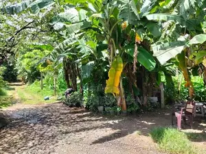 Roadside Land for Sale near Welekade, Thalawathugoda