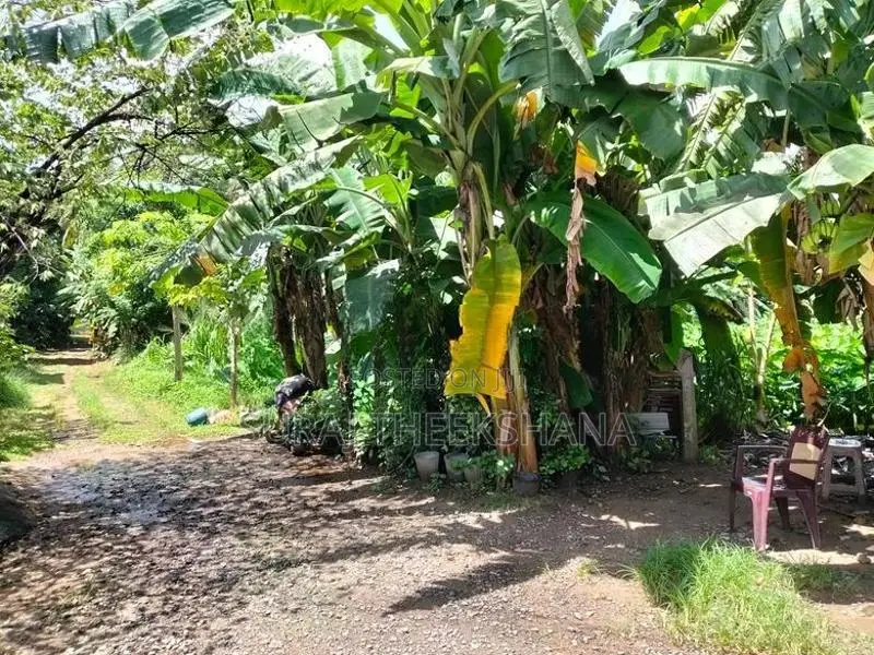 Roadside Land for Sale near Welekade, Thalawathugoda