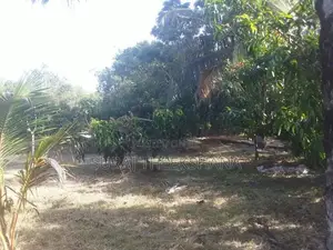 Land for Sale in Sella Kataragama with 100 Mango Trees